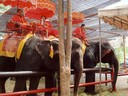 Thailand Transportation
